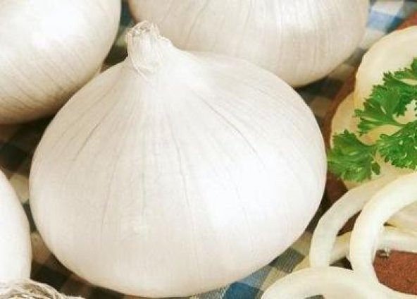 70+ Tatlı İspanyol Beyaz Soğan Tohumu N11.2710