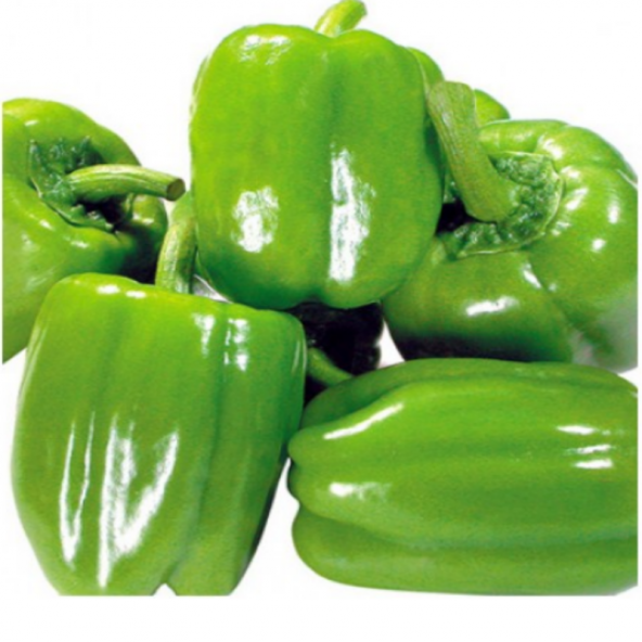 Doğal Kandil Dolmalık Biber Tohumu 20 Tohum - Resim 4