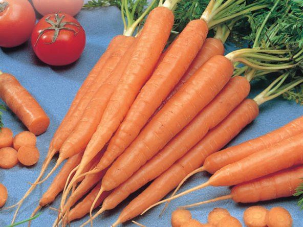 Tendersweet Sulu Ve Gevrek Havuç- 200+ Tohum N11.3481 ürün görseli