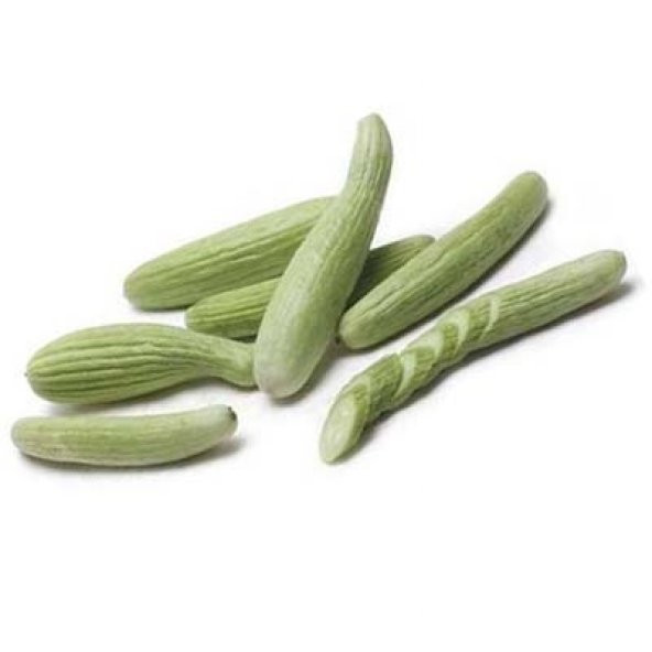 20+ Acur -Ermeni Salatalığı Tohumu - Resim 2