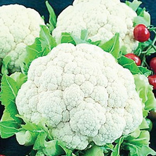 Erkenci Kartopu Karnabahar Tohumu- 100+ Tohum N11.2781 ürün görseli