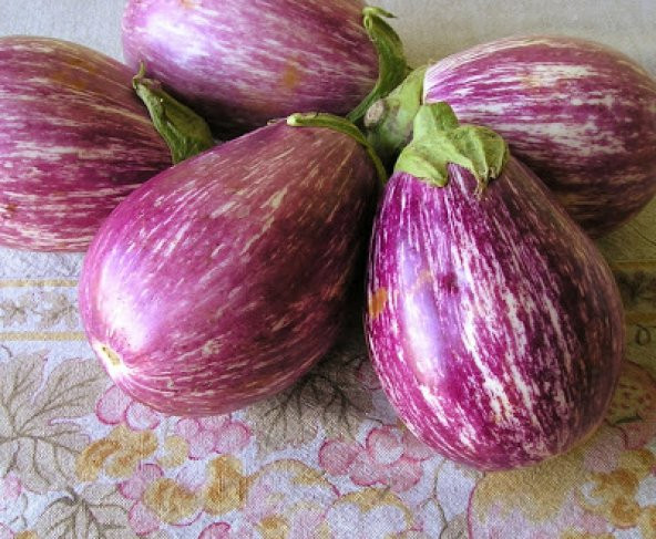 10+ Listada Çizgili Patlıcan Tohumu