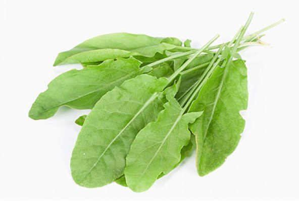 250+ Kuzu Kulağı Otu Tohumu- Limon Aromasında N11.2704 - 1