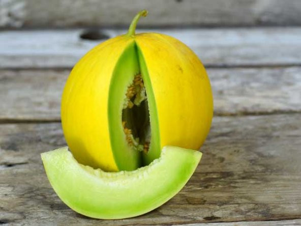 10+ Adet Yeşil Meyveli Tatlı Kavun Tohumu