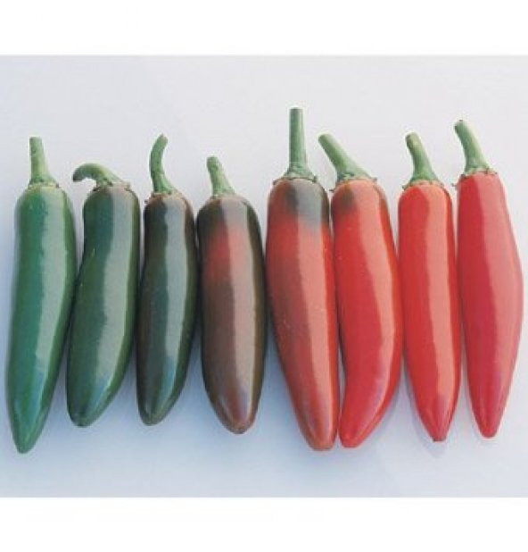 10+ Meksika Serrano Biber Tohumu - Resim 2