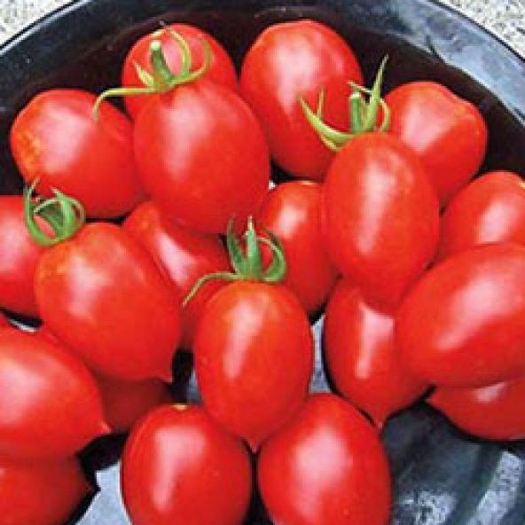 20+ Principe Borghese İtalyan Domates Tohumu N11.681 - Resim 2