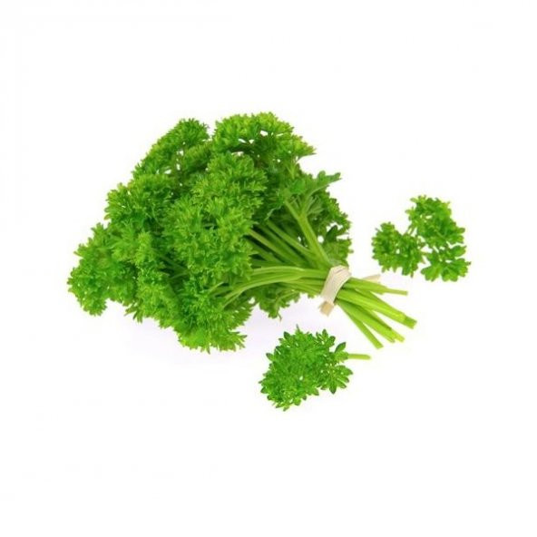 250+ Katmerli Kıvırcık Maydanoz Tohumu N11.3514 - Resim 2