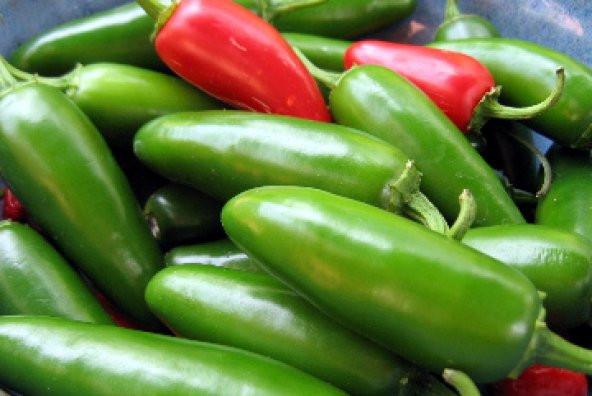 10+ Jalapeno Tam Acı Biber Tohumu N11.2811 ürün görseli