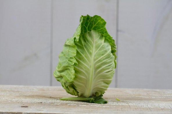 200+ Erkenci Jersey Lahana Tohumu N11.2421 - Resim 3