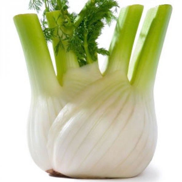 Floransa Kök Rezene Tohumu- 50+ Tohum N11.3082 ürün görseli 1