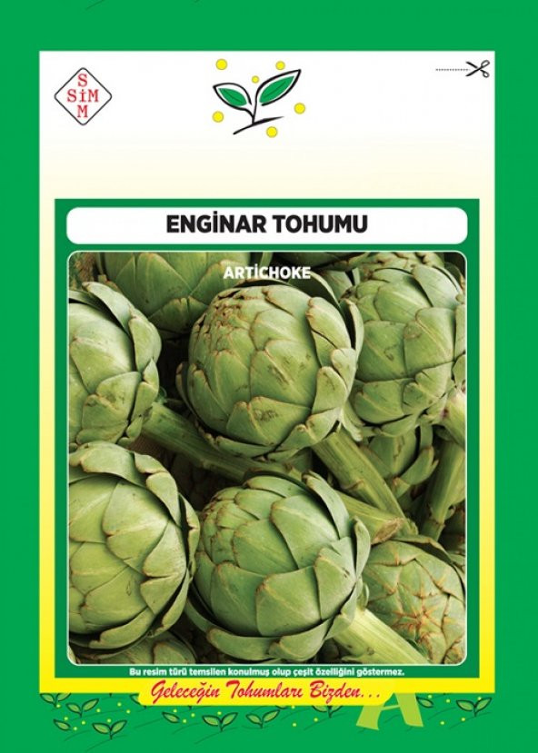 Enginar Tohumu 1 Paket 20 Adet Sebze Tohumları Enginar N11.1415