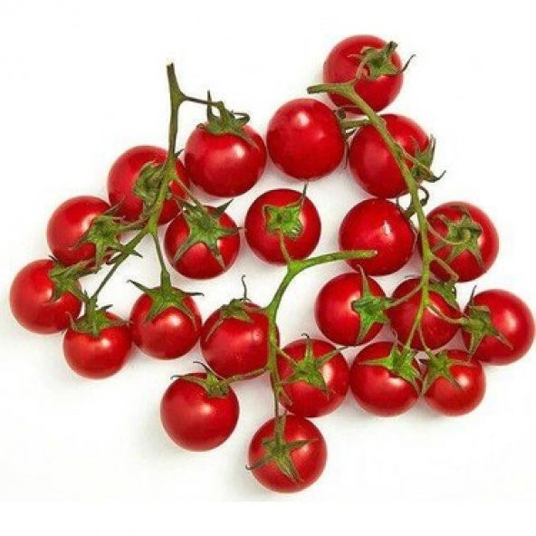 Bezelye Domates Tohumu 10 Adet Tohum - Resim 4