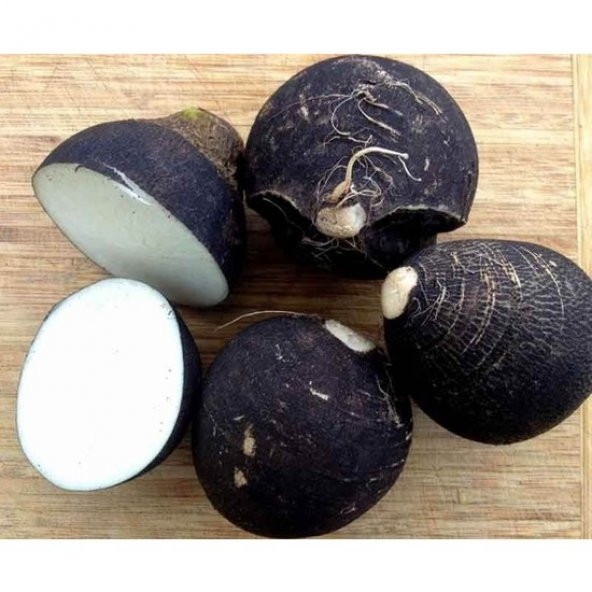 Siyah İri Turp Tohumu Kara Turp Tohumu 50 Tohum+ Tohum ürün görseli