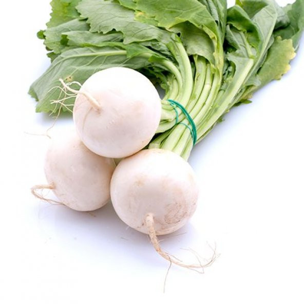 Topak İthal Beyaz Turp Tohumu 50 Tohum +Spriz Tohum ürün görseli