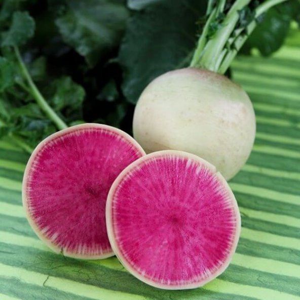 İçi Kırmızı Çin Turpu Tohumu 50 Adet Tohum + Tohum