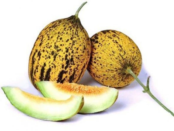 Altınbaş Kırkağaç İnce Kabuk Kavun Tohum 15 Tohum+ Tohum