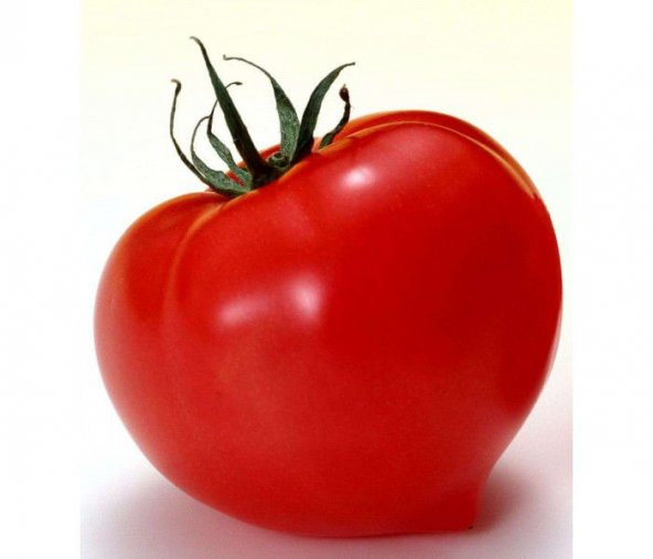 Falcon Domates Tohumu Bol Verim Domates Tohumu 25 Tohum+ To ürün görseli