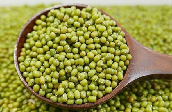Eko Paket Fasulye Mung Bean Tohumu Fasulye Tohumu 40 Tohum+ ürün görseli