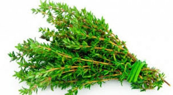 Paket Yerli Aromatik Dağ Kekiği Tohumu 300 Tohum+ Toh