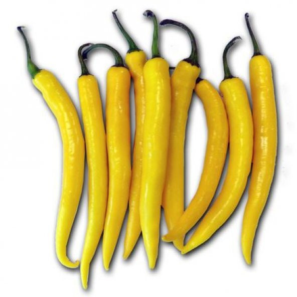 Eko Paket Golden Acı Cayenne Biber Tohumu 65 Tohum+ Tohum