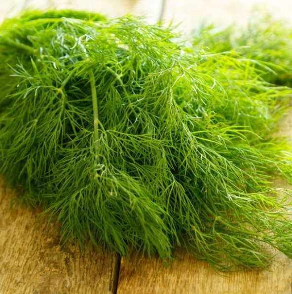 Eko Paket Sebze Dere Otu Tohum 650 Tohum + Spriz Tohum ürün görseli 1