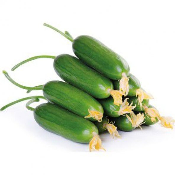 Paket Yerli Erkenci Badem Salatalık Tohumu 250 Tohum+ ürün görseli