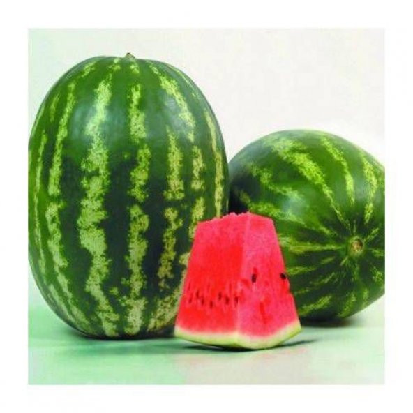 Paket Tam 5 Farklı Çeşit Karpuz Tohumu+ Hewdiye Tohum ürün görseli