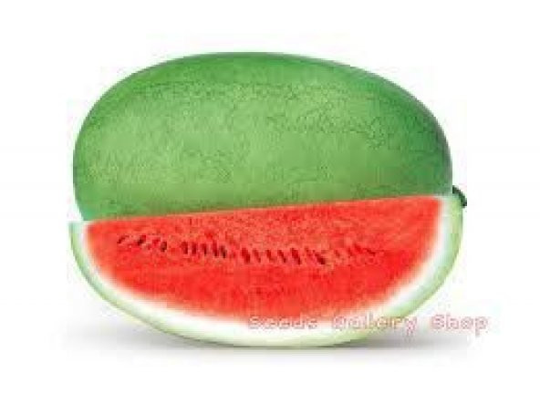 Paket Çarliston Nadir Gray Karpuz Tohumu 85 Tohum+ To ürün görseli