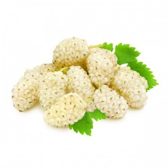 Beyaz Dut Tohumu Beyazdut Tohumu Ak Dut Tohumu 5 Tohumu+ To ürün görseli