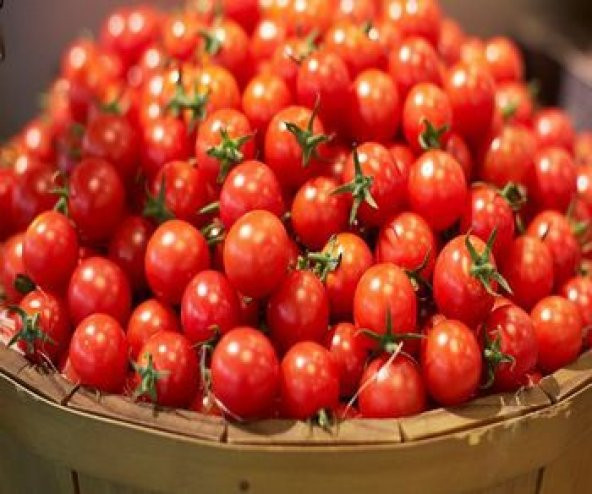 Kiraz Domates Tohumu Misket Domates Tohumu 10 Tohum + Tohu - Resim 3