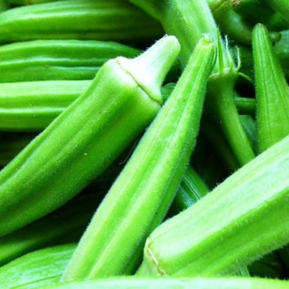 Eko Paket Sultani Bamya Tohumu 100 Tohum + Tohum