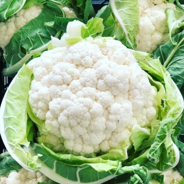 Karnabahar Tohumu Karnıbahar Tohumu 30 Adet Tohum ürün görseli