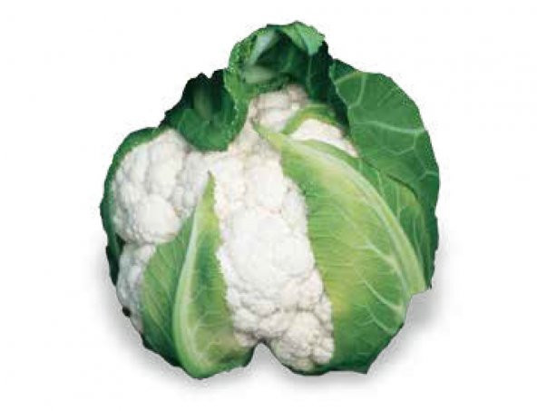 Eko Paket Karnabahar Tohumu Karnıbahar Tohumu 250 Tohum+ To ürün görseli 1