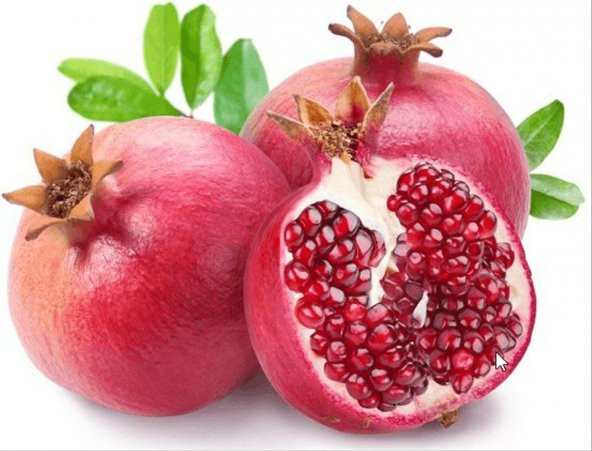 Kırmızı Nar Ağacı Tohumu 5 Tohum + Saksı + Toprak+ Tohum