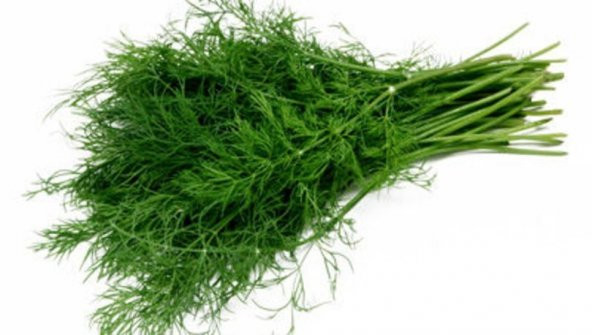 Paket Sebze Dere Otu Tohum 1400 Tohum + Spriz Tohum