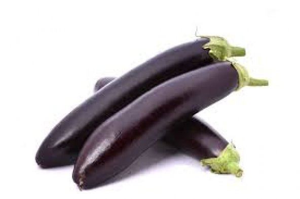 Kemer Patlıcan Tohumu Patlıcan Tohumu 25 Tohum+Saksı+Toprak+ ürün görseli