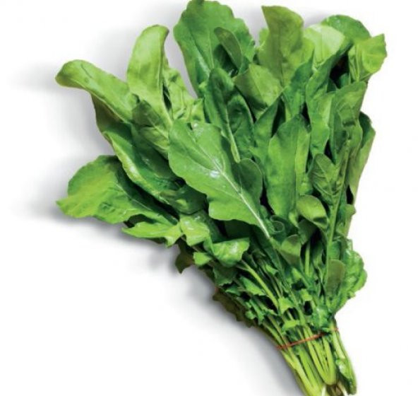 Yerli Roka Tohumu 100 Tohum + Saksı + Toprak + Spriz Tohum
