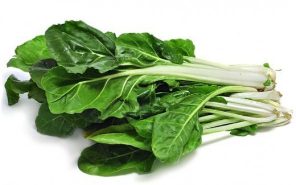 Eko Paket Yerli Pazı Tohumu 250 Adet Tohum + Spriz Tohum ürün görseli