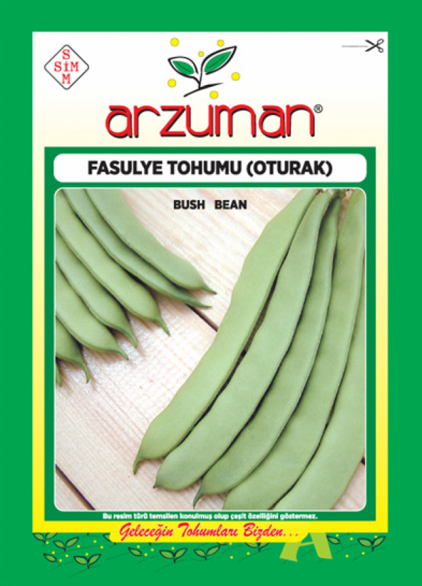 Oturak Fasulye Tohumu Gına 50 Gr Tohum