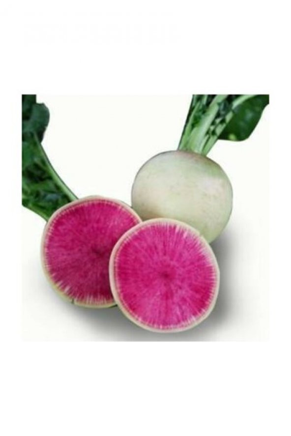 Eko Pkaet İçi Kırmızı Çin Turpu Tohumu 200 Adet Tohum ürün görseli 1