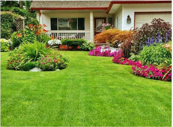 3Lü Karaşım İthal Çim Tohumu Çim Tohumu 500 Gram Tohum+ Toh ürün görseli