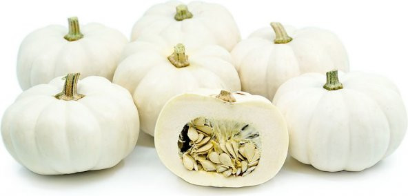 Paket Kestane Kabağı Tohumu Kabak Tohumu 100 Tohum + ürün görseli 1