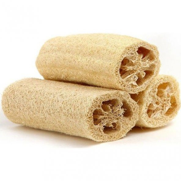 Lif Kabak Tohumu Lif Kabağı Tohumu 5 Tohum  SaksıToprak ürün görseli