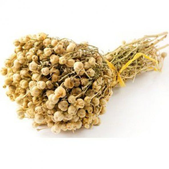 Paket Üzerlik Tohumu Nazarotu Tohumu 250 Tohum+ Tohum ürün görseli