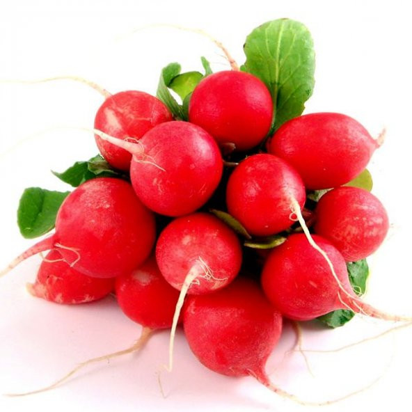 Yerli Kırmızı Fındık Turp Tohumu 50 Adet Tohum + Spriz Toh ürün görseli