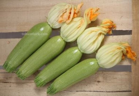 Kabak Tohumu Sakız Kabak Tohumu 10 Adet Tohum + Spriz Tohu ürün görseli