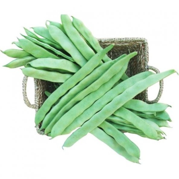 Ayşe Kadın Fasulye Alman Kılçıksız Fasulye Tohumu 15 Tohum+ ürün görseli