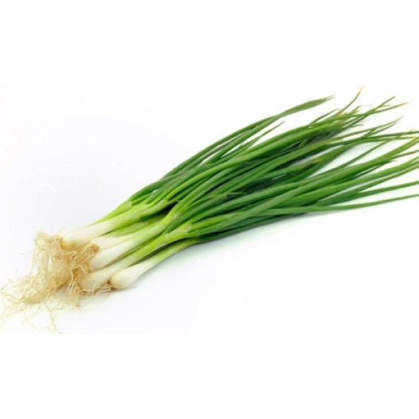 Eko Paket Yeşil Taze Firik Soğan Tohumu 300 Tohum + Tohum ürün görseli