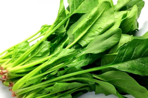 Yerli Ispanak Tohumu 50 Adet Tohum + Spriz Tohum ürün görseli