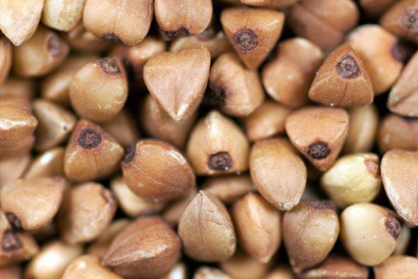 Kara Buğday Tohumu 100 Gram Tohum + Spriz Tohum ürün görseli